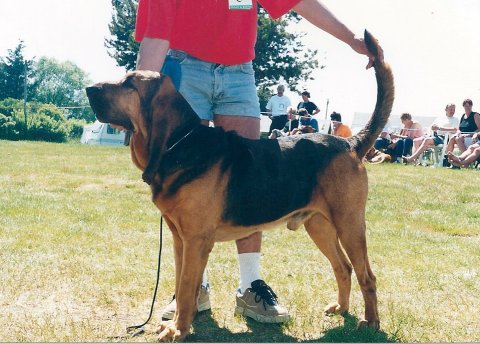 Kajra Sachib Kajra Sachib