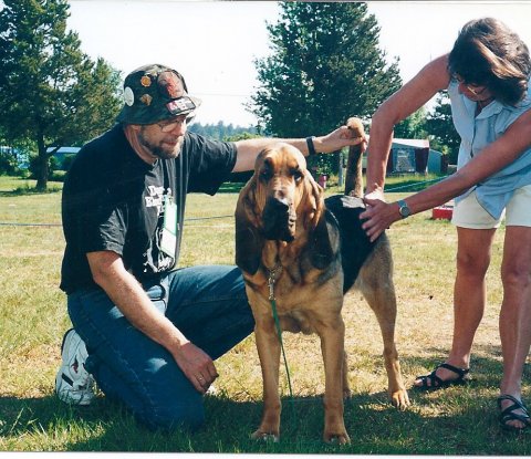 Kajra Skarlet Kajra Skarlet