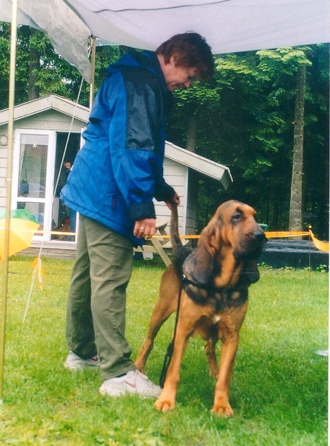 Marksbury Intense Marksbury Intense