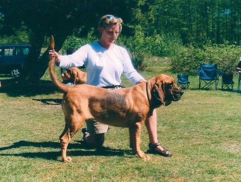 Alluring Cleo Alluring Cleo