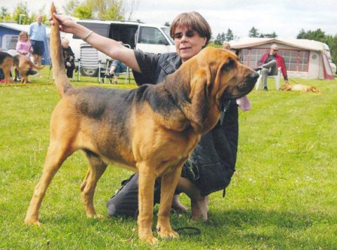 Frontrunner YardleFrontrunner