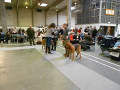 DKK Fredericia 2013 Casper